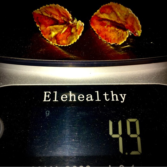 Vintage signed CORO rust orange green enamel leaf goldtone clip earrings new - Picture 7 of 17